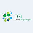Transportadora de Gas Internacional (TGI)